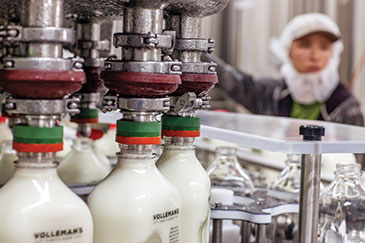 Equipment fills bottles of milk