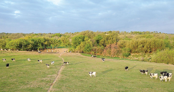 Volleman's Family Farm - Milk in glass bottles from a local Texan