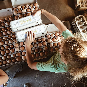 Ruthie Kramer cartons pastured eggs