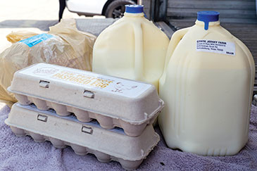 Egg cartons and gallons of milk