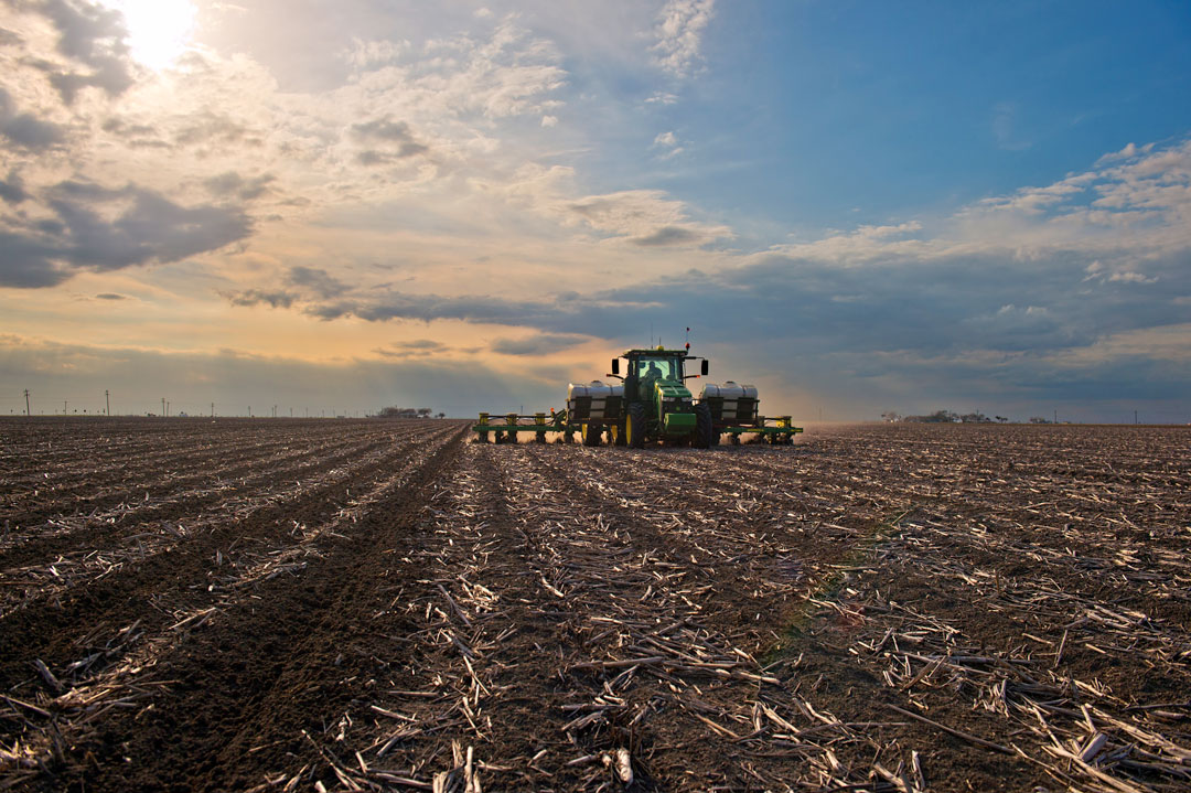 Strip tilled soil