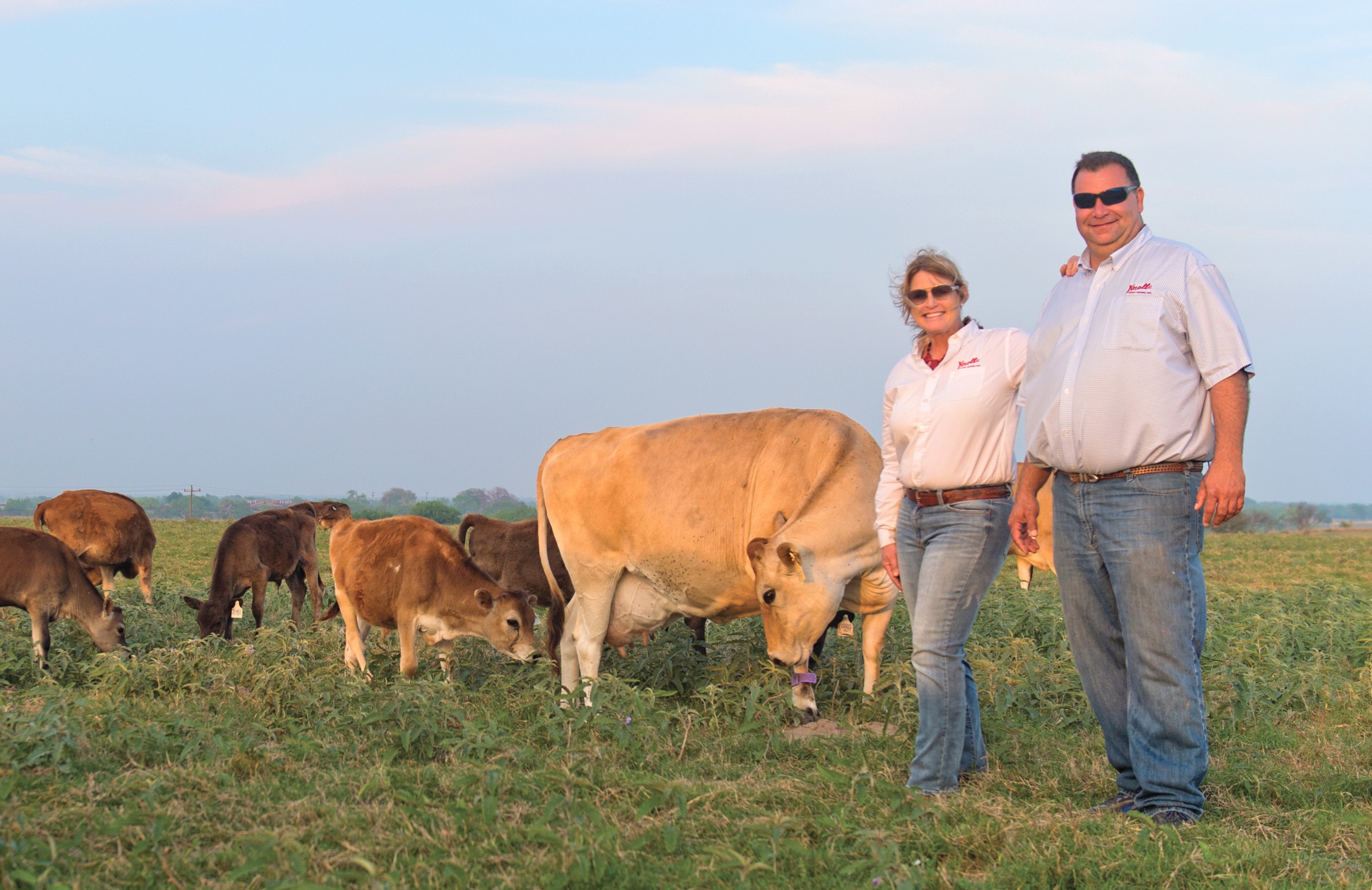 Christina and Joe Knolle Jr., seen with calves and nurse cows, continue to operate what was once the world’s largest Jersey farm.   
