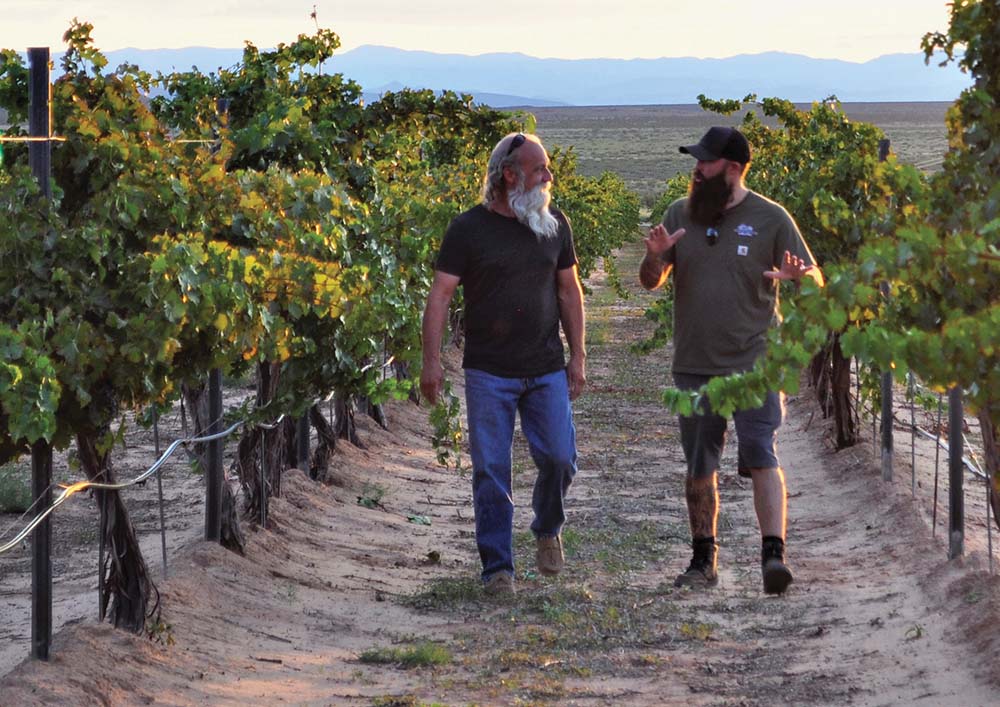 photo of Noisy Water Winery owner Jasper Riddle walking through his vineyard near Engle in southern New Mexico with his uncle Richard Piedmont, vineyard manager