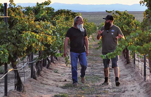 photo of Noisy Water Winery owner Jasper Riddle walking through his vineyard near Engle in southern New Mexico with his uncle Richard Piedmont, vineyard manager