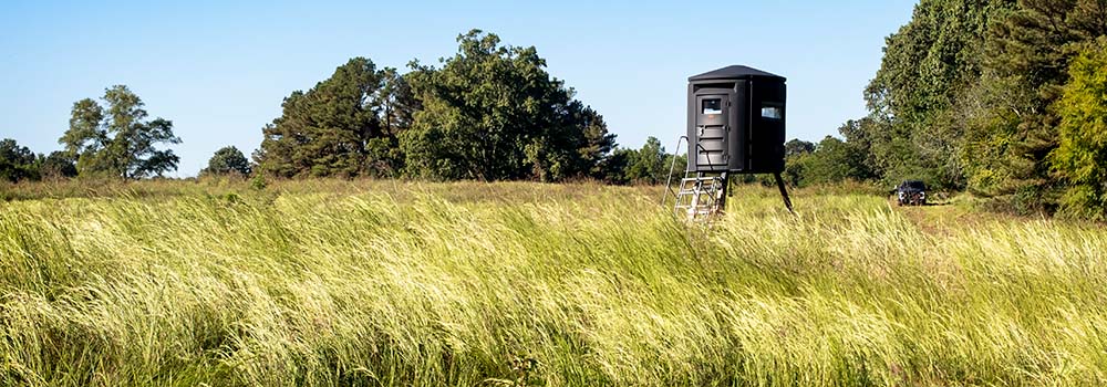 photo of Rachelle and Malcom Reed&#x27;s hunting tract