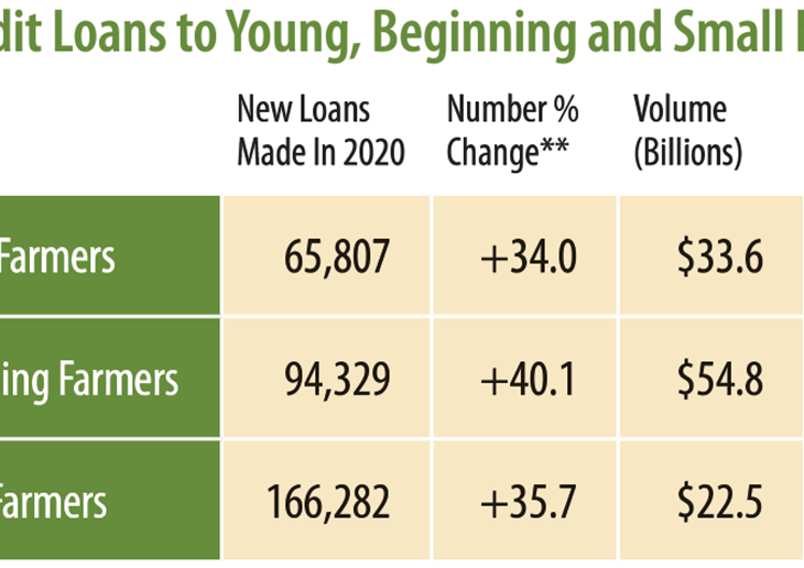 table of stats: Farm Credit loans to Young, Beginning and Small farmers