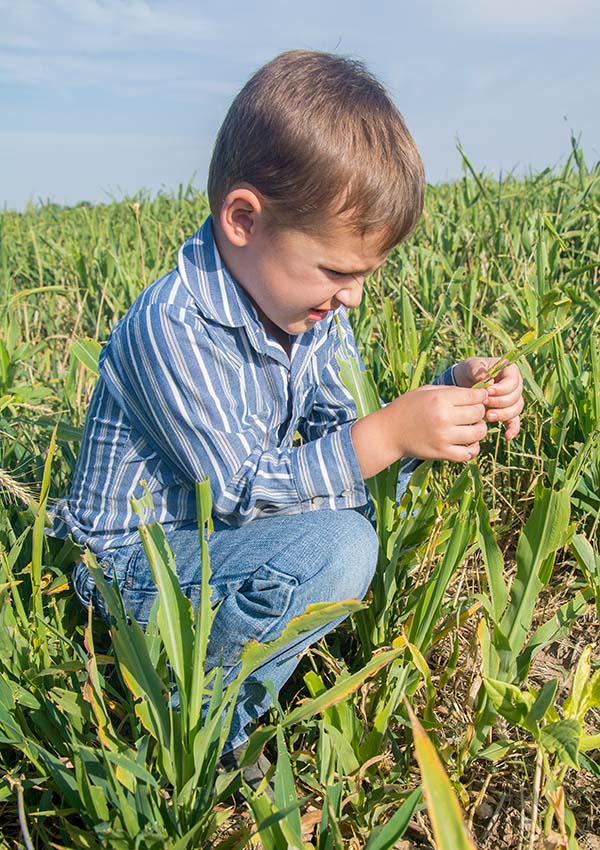 Levin Whitworth kneeling down in field