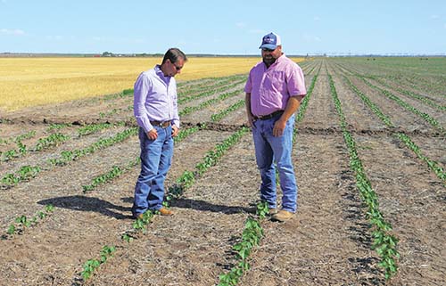 Cody Hughes and Jason Jones standing in a field