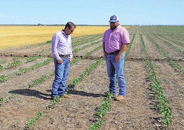 Cody Hughes and Jason Jones standing in a field