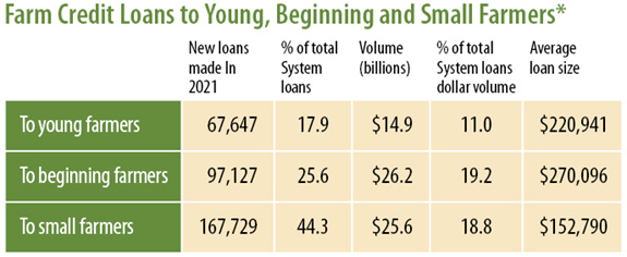 YBS loans chart