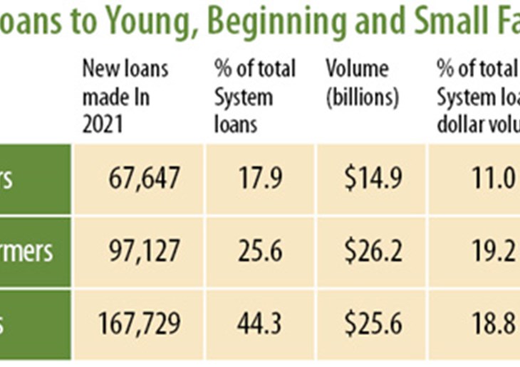 YBS loans chart