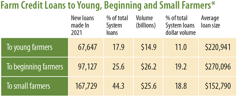 chart showing stats of Farm Credit loans to Young, Beginning and Small Farms