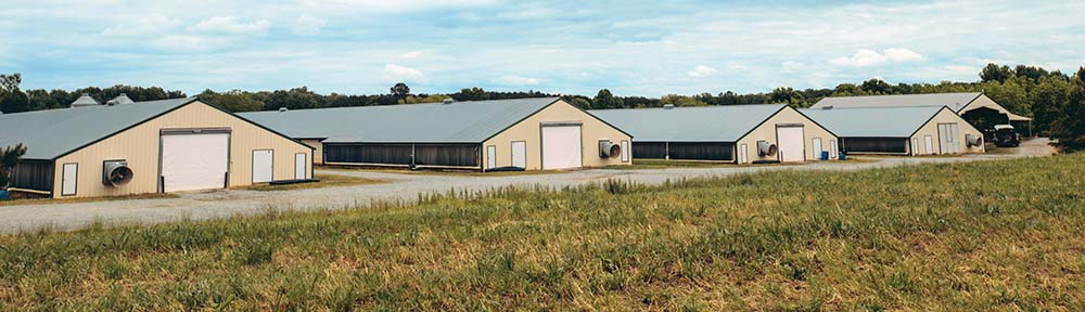 Four poultry houses