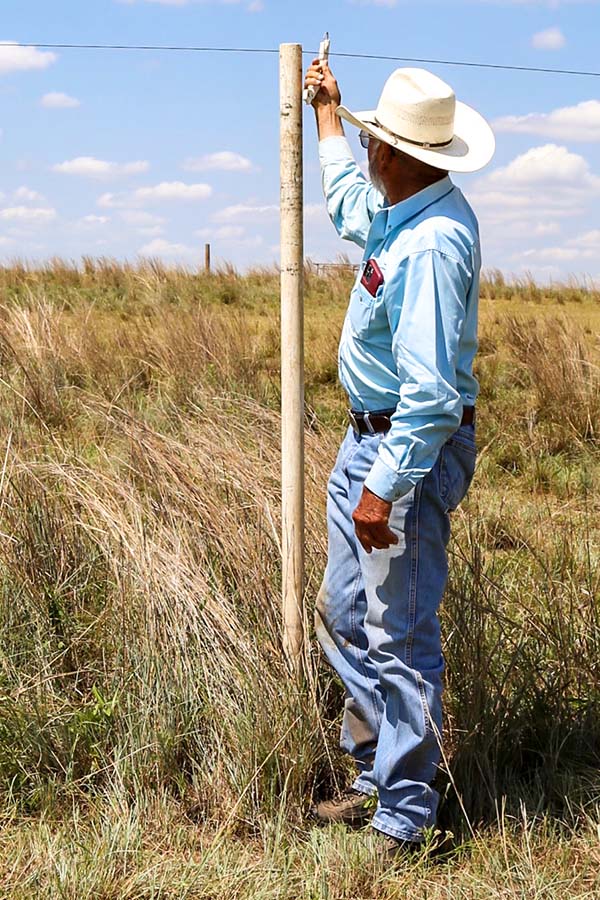 Emry Birdwell out in the field raising an electric fence wire to rest on a T-post