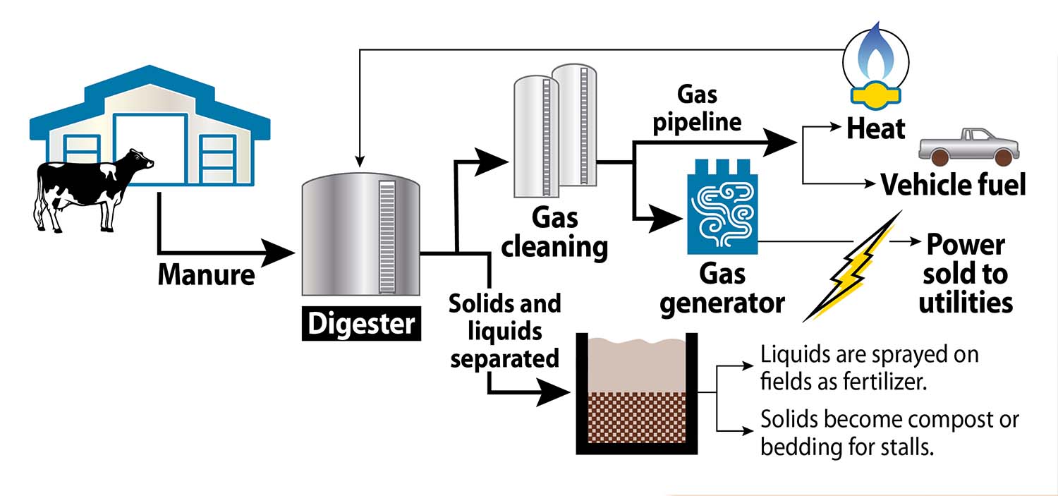 diagram of how an anaerobic methane digester works